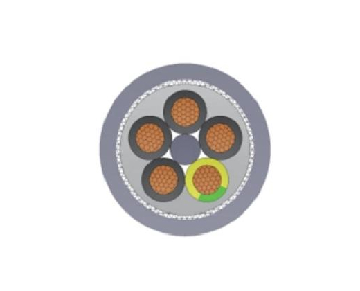 EMC易倍(中国)体育官方网站-EMC SPORTS